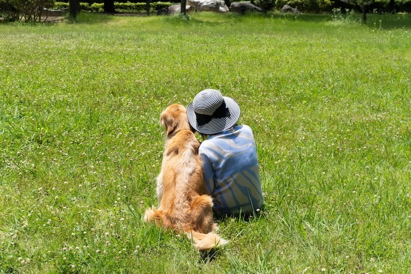 飼い主とゴールデンレトリバー